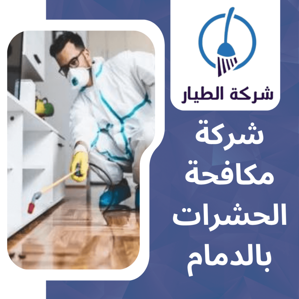 شركة مكافحة الحشرات بالدمام